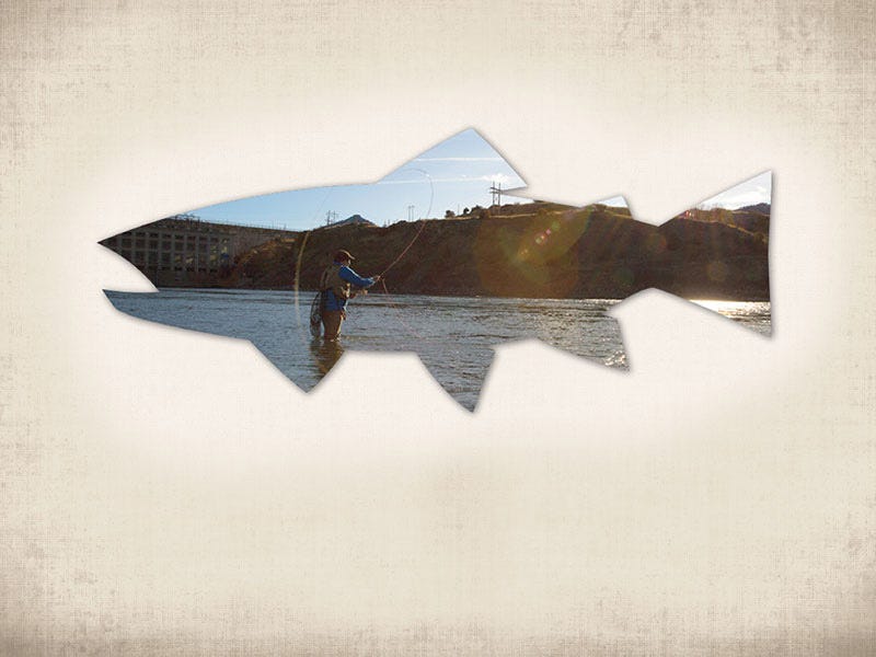Montana Trout Spey Clave: 2016 Recap