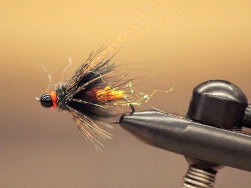October Caddis Pupa