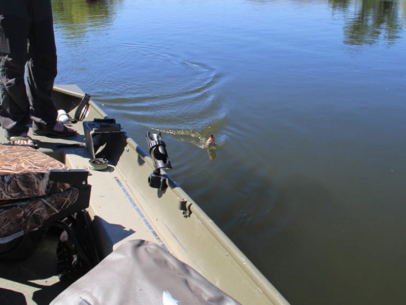 Okanogan River Report 6.26.16