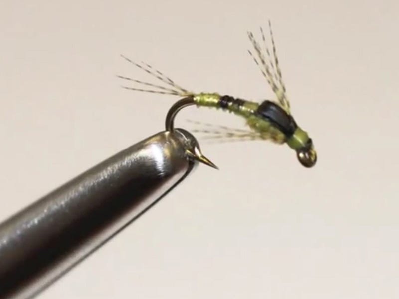 Olson's Mono Baetis