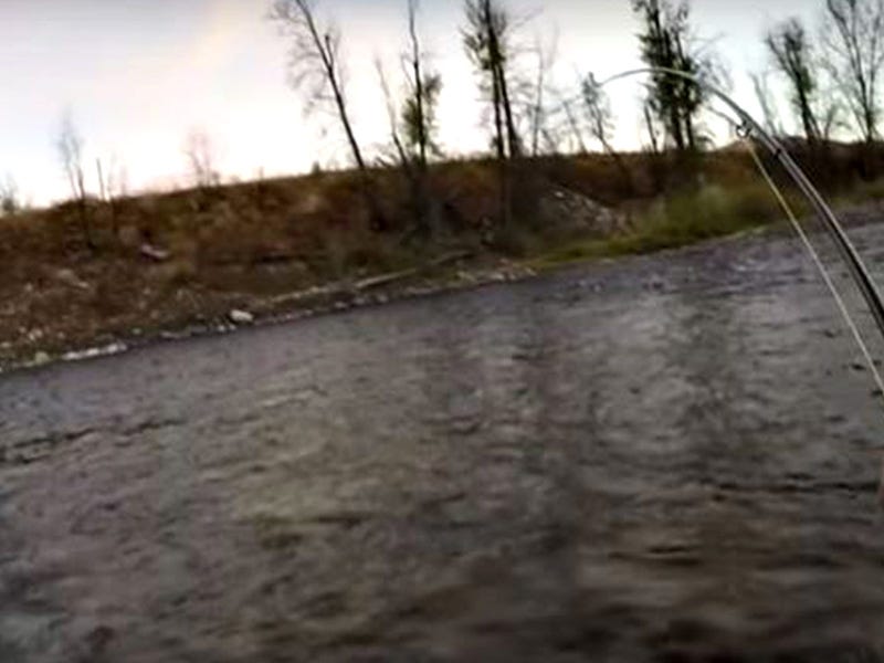 Methow River Opening