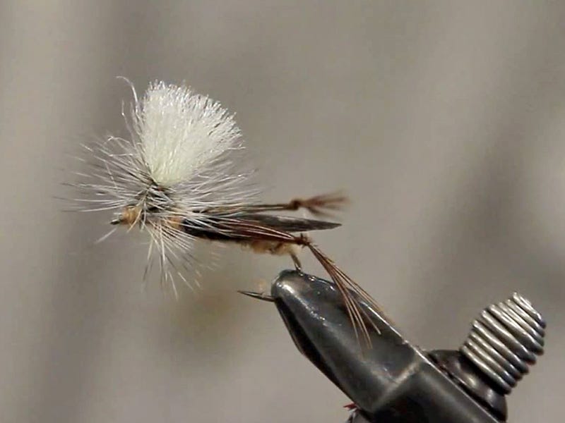 Parachute Hopper