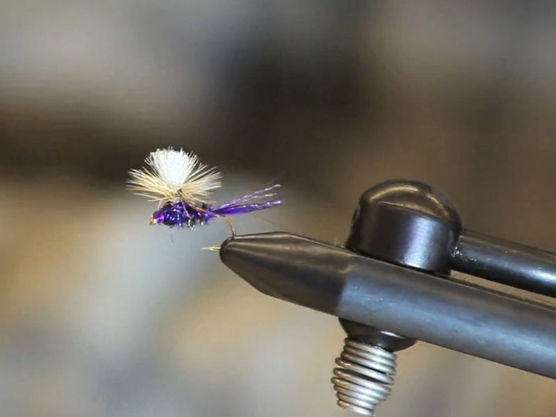 Fly Tying Video: Parachute Purple Haze