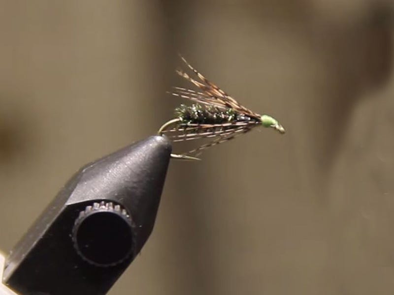 Fly Tying Video: Peacock and Partridge Caddis Emerger