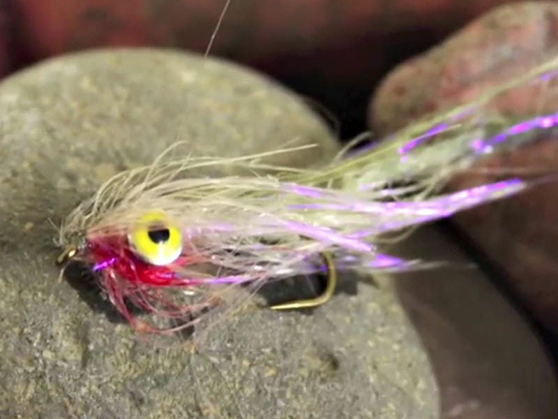 Fly Tying Video: Polar Express Minnow