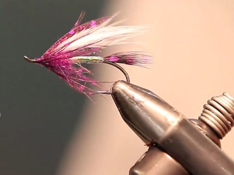 Fly Tying Video: Purple Guinea Steelhead Fly