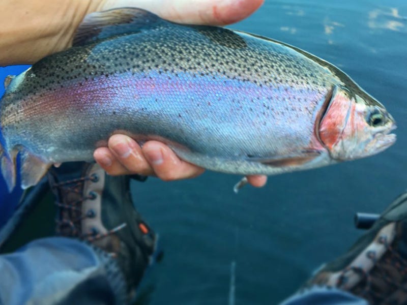 Rat Lake Report 10.21.16