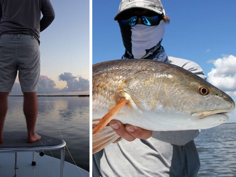 Redfish in Florida