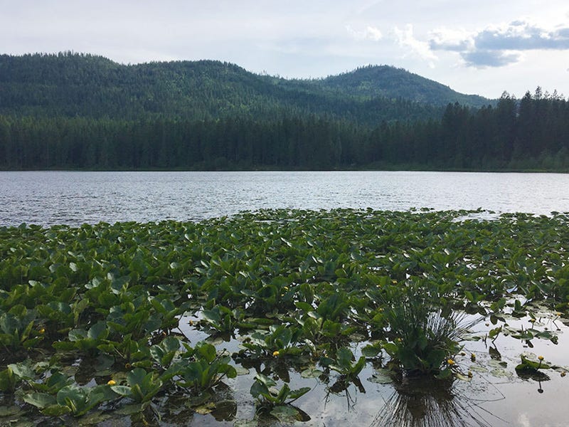 Round Lake Report 5.17.16