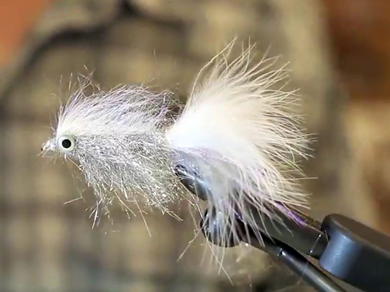 Sparkle Minnow