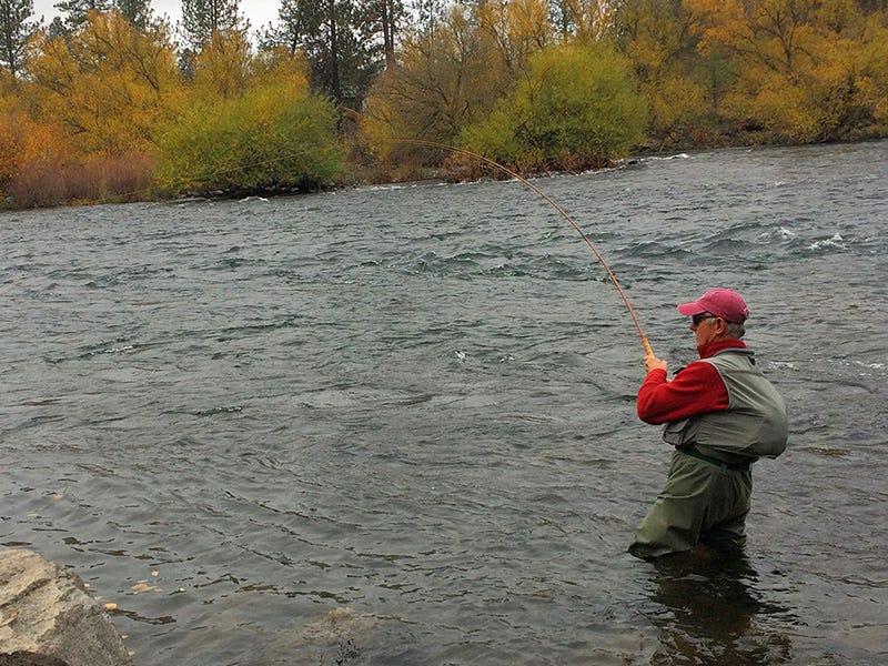 Spokane River Report 11.1.16