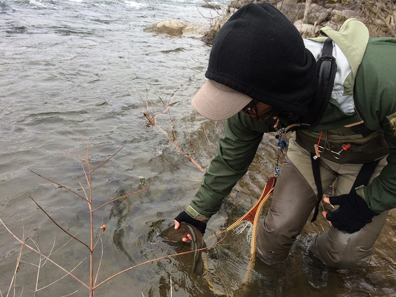 spokane-river-report-12-6-16a