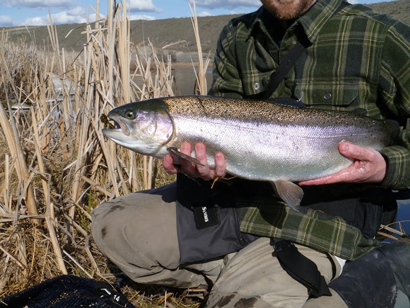 Spokane River Report 12.6.16
