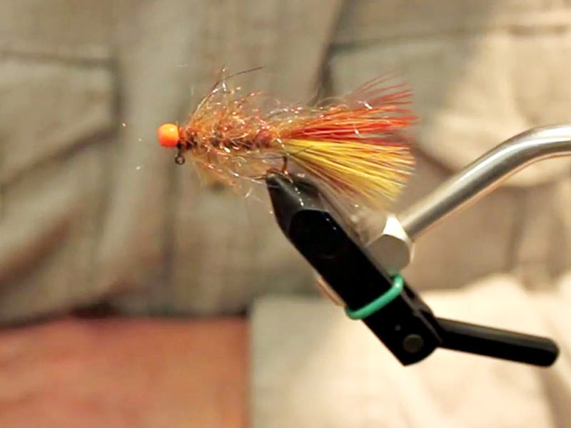 Fly Tying Video: Spring Breaker Leech