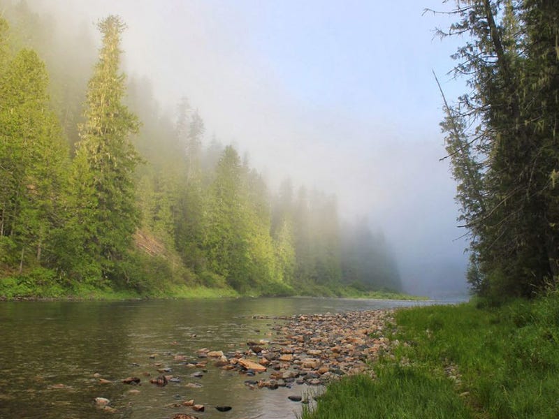 St. Joe River Report 9.20.16