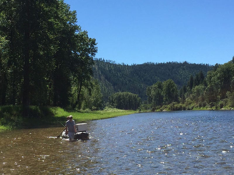 St. Joe River Report 6.29.16