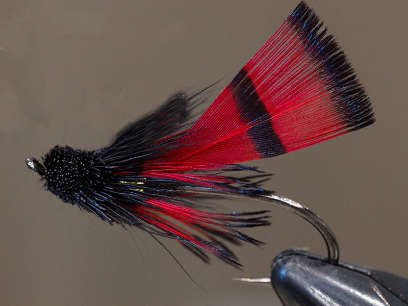 Fly Tying: Steelhead Muddler