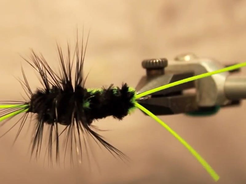Fly Tying Video: Telleen's Bitch Creek Variant