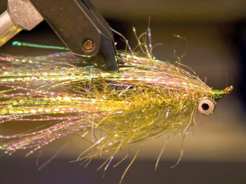 Fly Tying Video: Telleen's Flash Bang Intruder