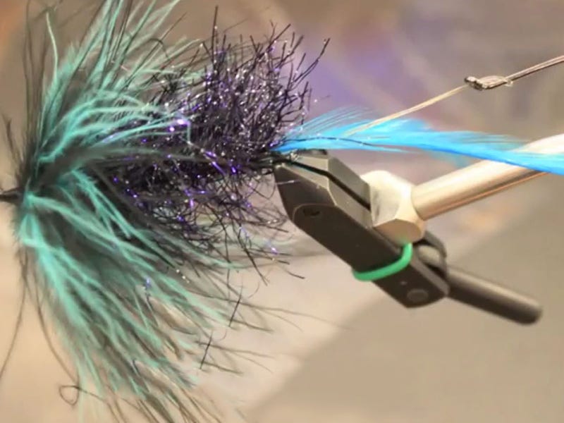 Fly Tying Video: The Bruise