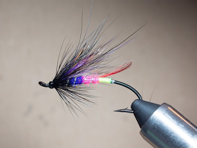 The Valley Summer Fly