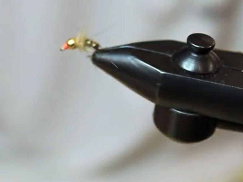 Fly Tying Video: Tungsten Parrot Nymph