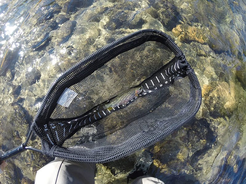 Twisp River Report 7.14.16