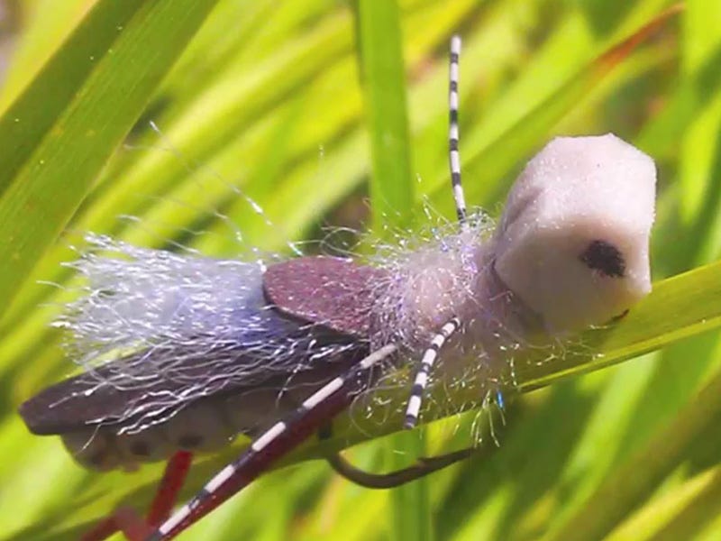Fly Tying Video: Cornfed's Vagabond Hopper