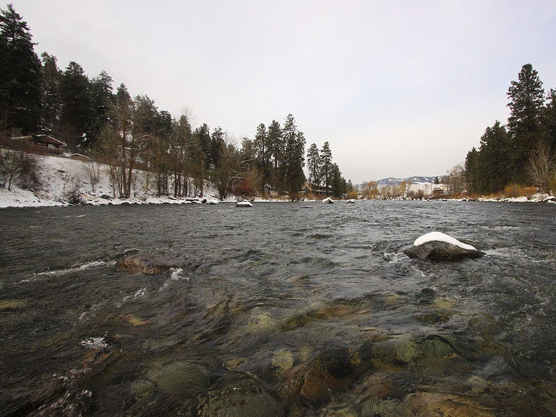 Where Can I Fly Fish in Winter?