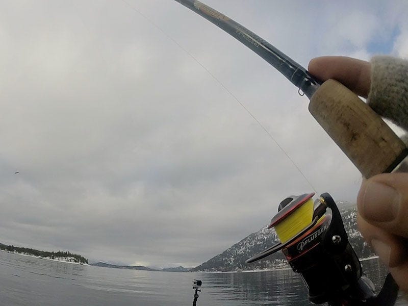 Winter Bass Fishing