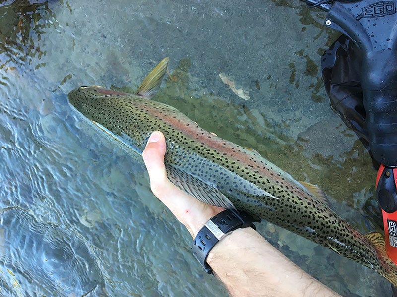 clark-fork-river-report-12-4-16a