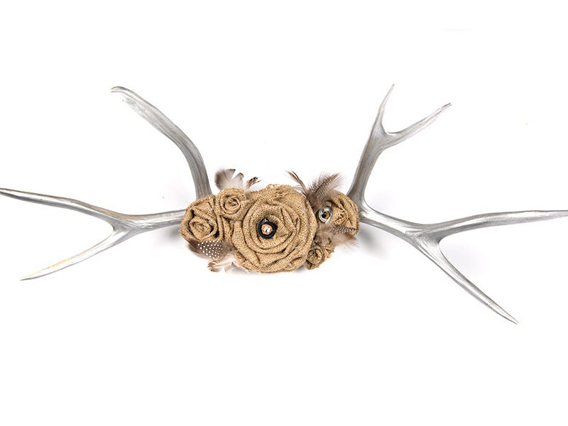 DIY: Antler Jewelry Hanger