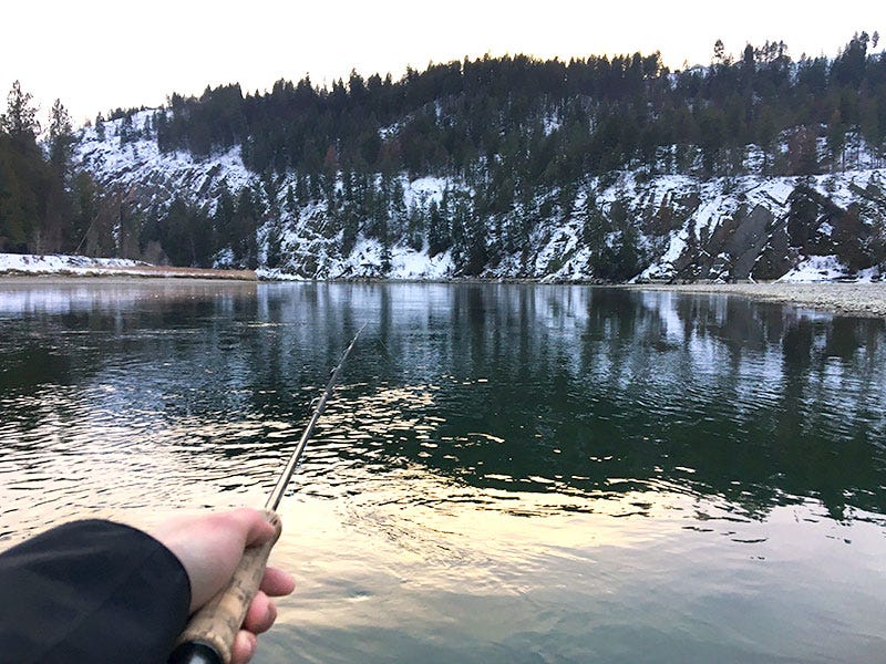 Kootenai River Report 1.31.17