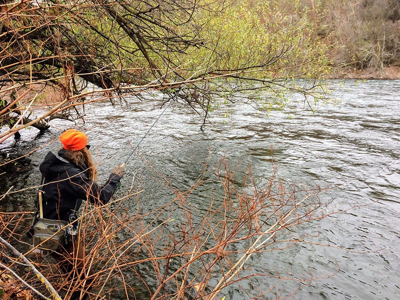 Spokane River Report 11.29.2016