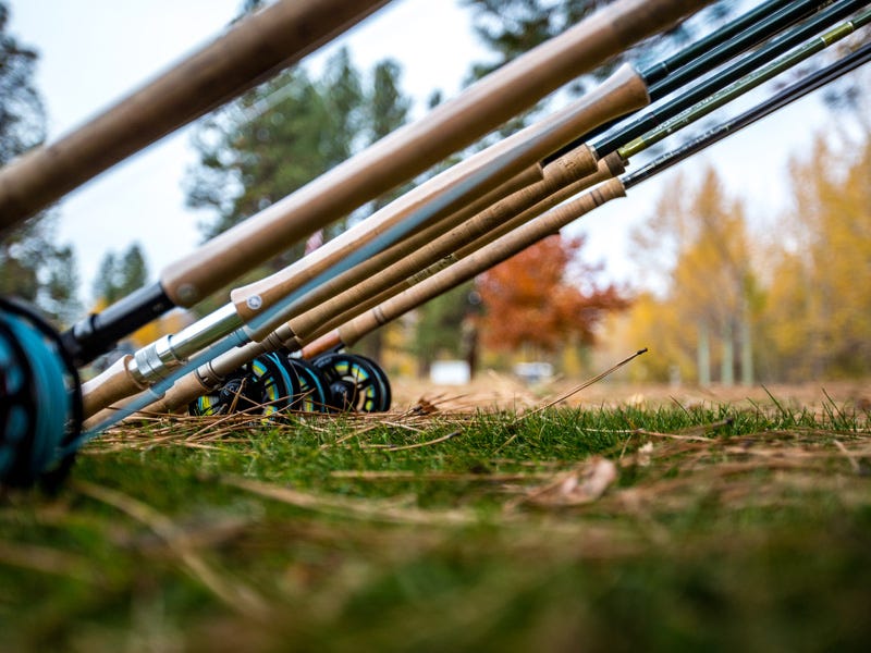 Fly Rods You Don't Have... Yet