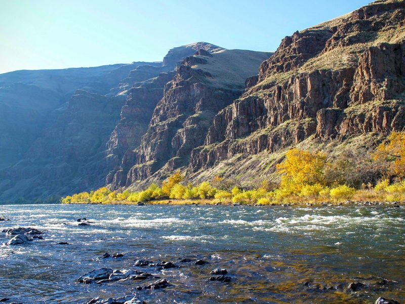 Steelhead Fishing On The Grande Ronde River (2)
