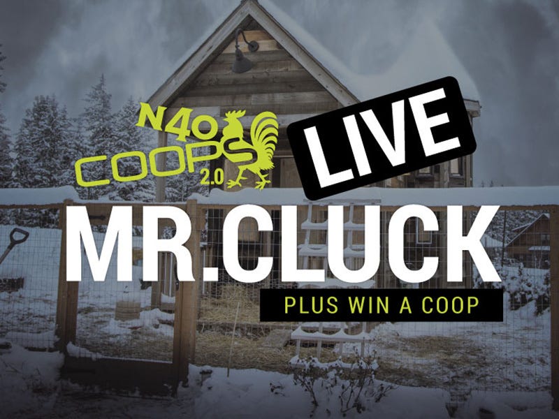 N40 Coops 2.0 Live + Mr. Cluck Q&A