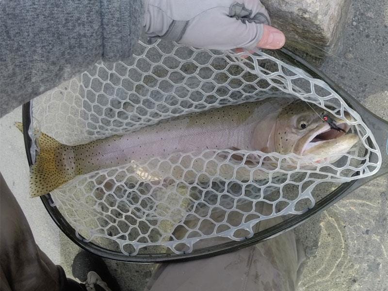 Omak Lake Report 2.15.17