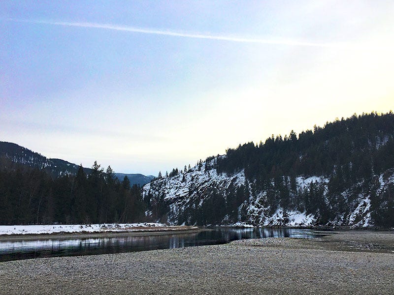 Kootenai River Report 2.9.17