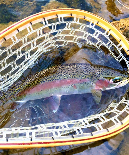 ponderay_river_report_2-9-17_b