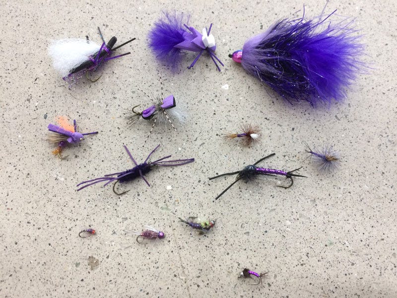 Fly Fishing & The Color Purple