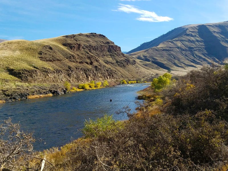 Steelhead Fishing On The Grande Ronde River
