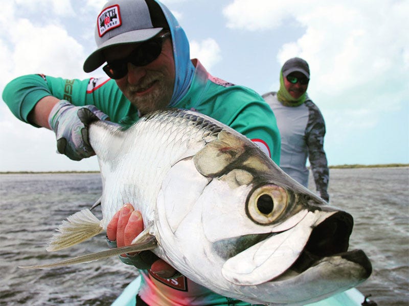 Loop Q Rod Review: A New Fly Rod Series w/ Incredible Feel