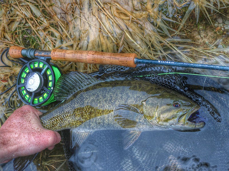 Clark Fork River Report 3.17.17
