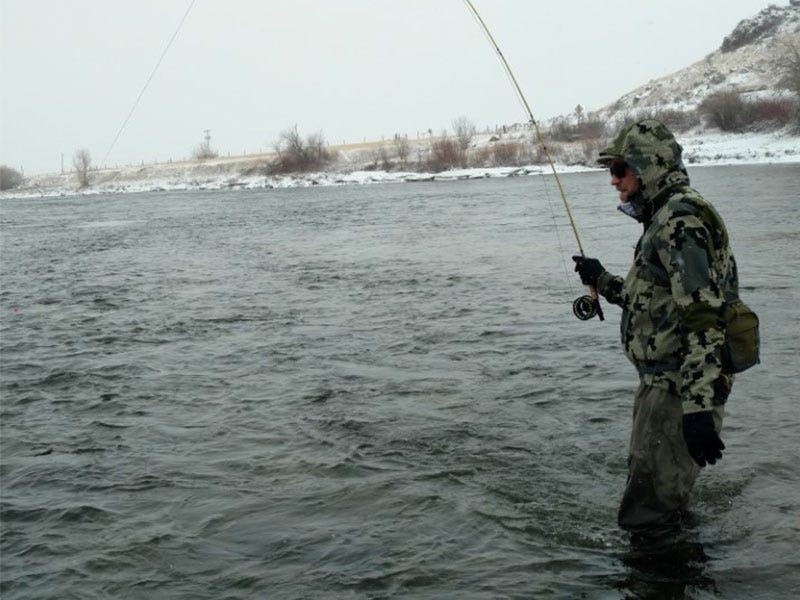 Missouri River Report 3.1.17