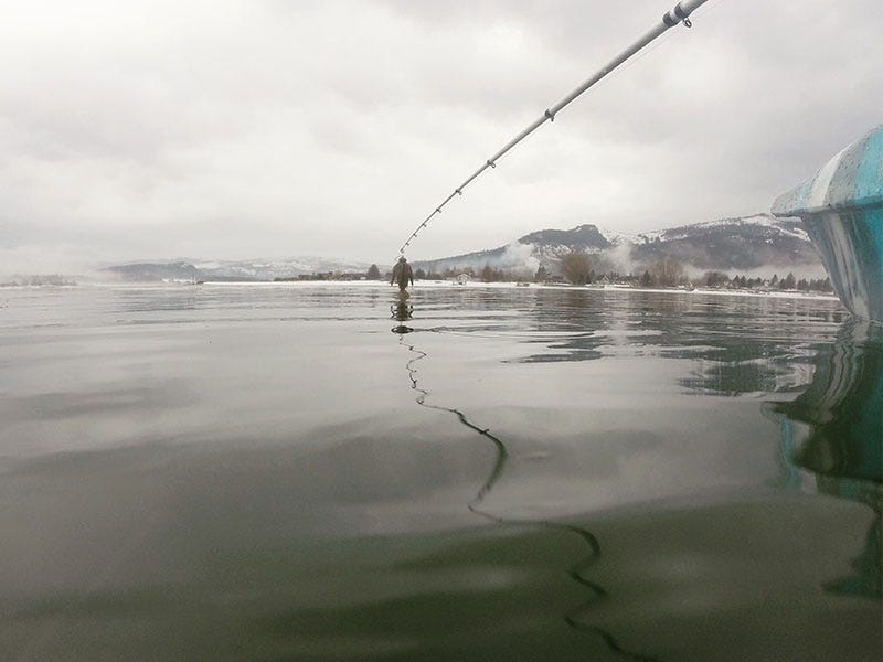 Fish Finders: Hitting the Waters Hard