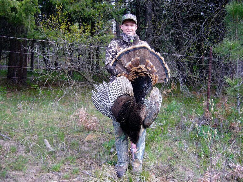 tactics-for-turkey-hunting-1