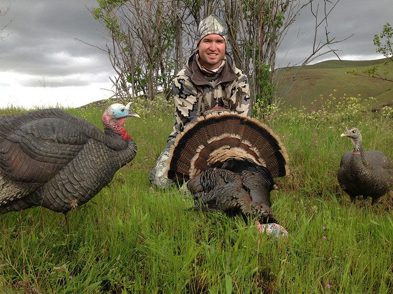 Turkey Hunting Tactics For Beginners