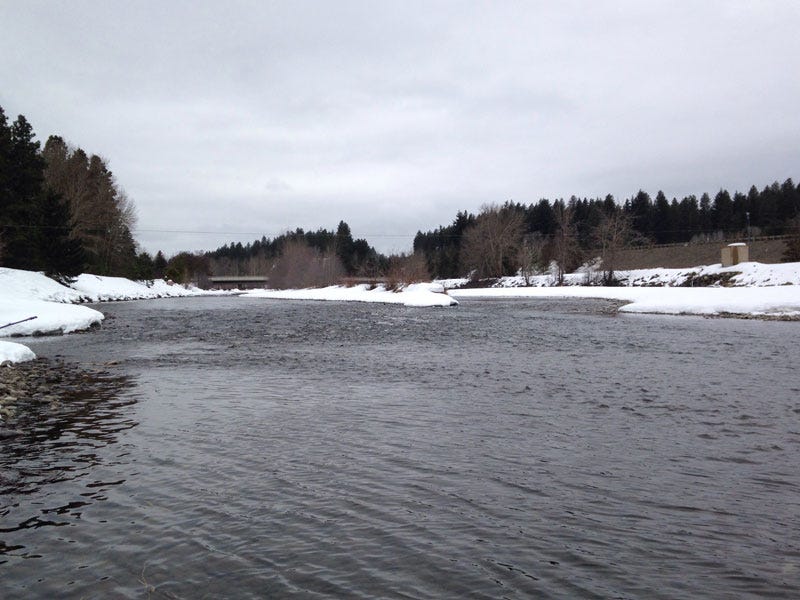 Yakima River Report 3.2.17