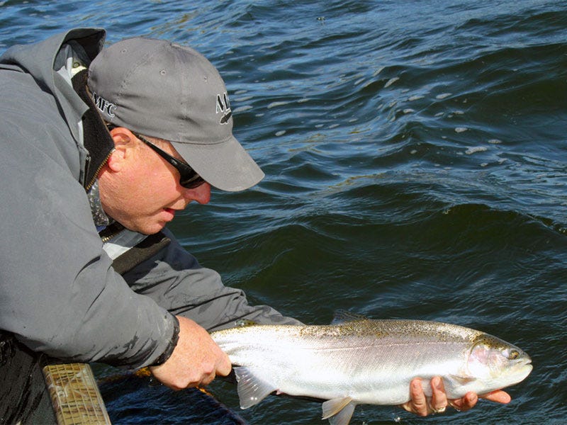 Phil Rowley Fly Fishing Seminar: Stillwater Success